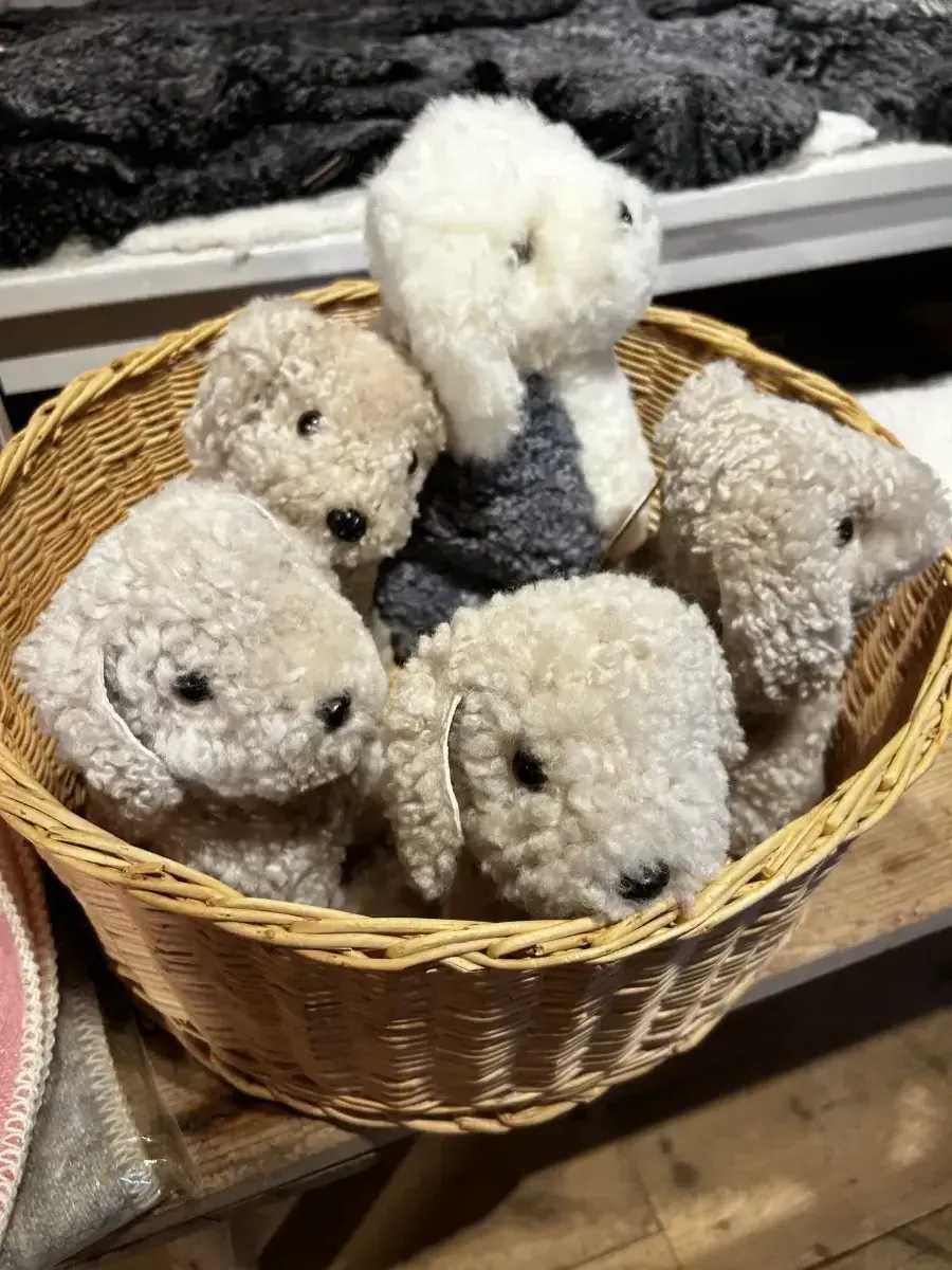 Inredningsbutik på Thorstorps Gård