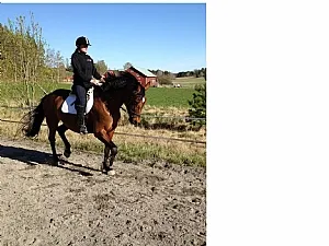 ELIT-premierade Jeanna på gårdsplanen Thorstorps Gård