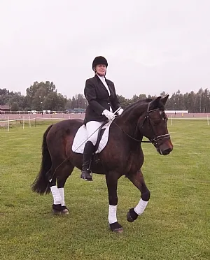 Viggo nordsvensk brukshäst i dressyrarbete på Thorstorps Gård